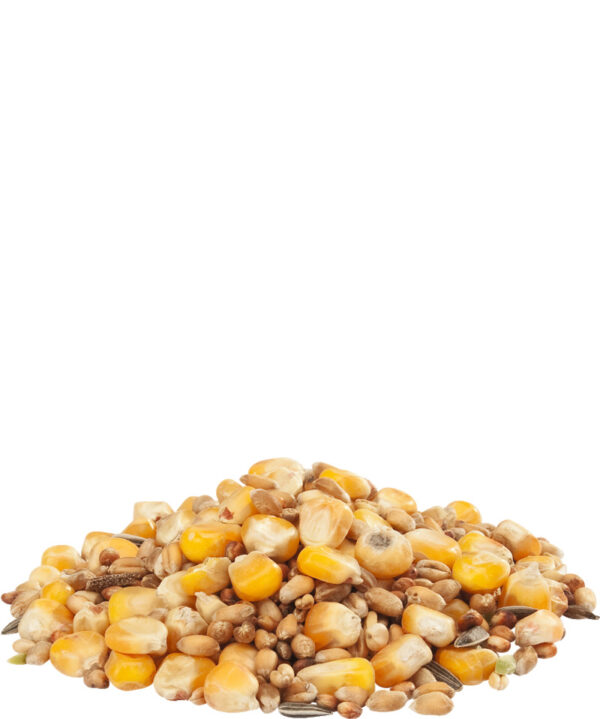 GOLD 4 pellet Mélange poules - VERSELE LAGA - 20KG – Image 3