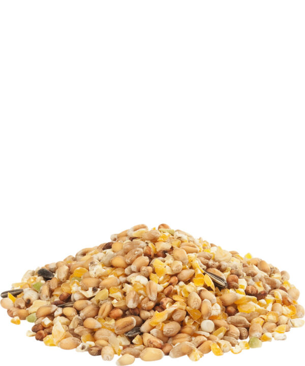 POULE GRAMIX ARDENNES - VERSELE LAGA 20KG – Image 2