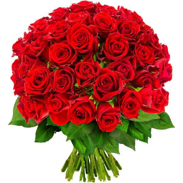 Bouquet de roses rouges