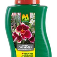 Engrais Plantes Vertes 350 ml - Masso Garden