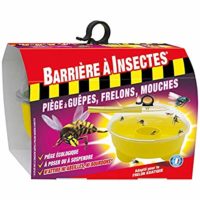 K-Ocide- Gel Anti-Fourmis - Fourmillères - Appât en Gel - Pour Insecte Prêt  à l'Emploi et Réutilisable - 50 mL : : Jardin
