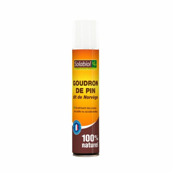 GOUDRON DE PIN dit de Norvège aérosol 200 ml - Solabiol