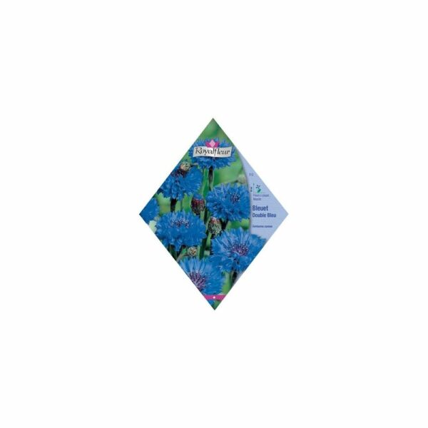 Bleuet double bleu RoyalFleur