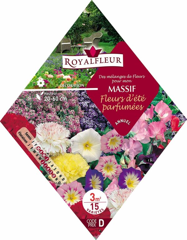 Des mélanges de fleurs pour mon massif fleurs d'été parfumées RoyalFleur