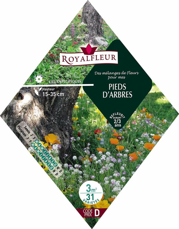 Des mélanges de fleurs pour mon pieds d'arbres RoyalFleur