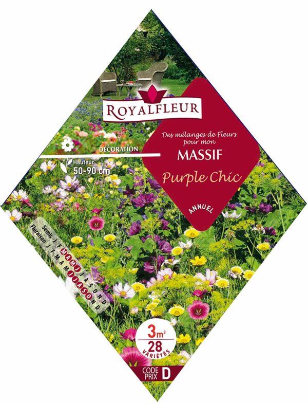 Des mélanges de fleurs pour mon massif purple chic RoyalFleur