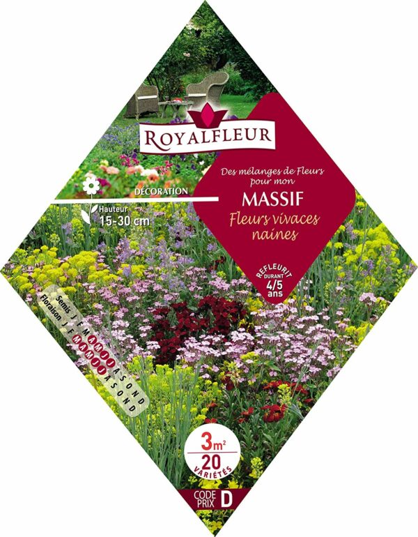 Des mélanges de fleurs pour mon massif fleurs vivaces naines RoyalFleur