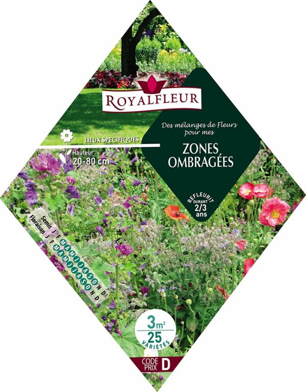 Des mélanges de fleurs pour mes zones ombragées RoyalFleur