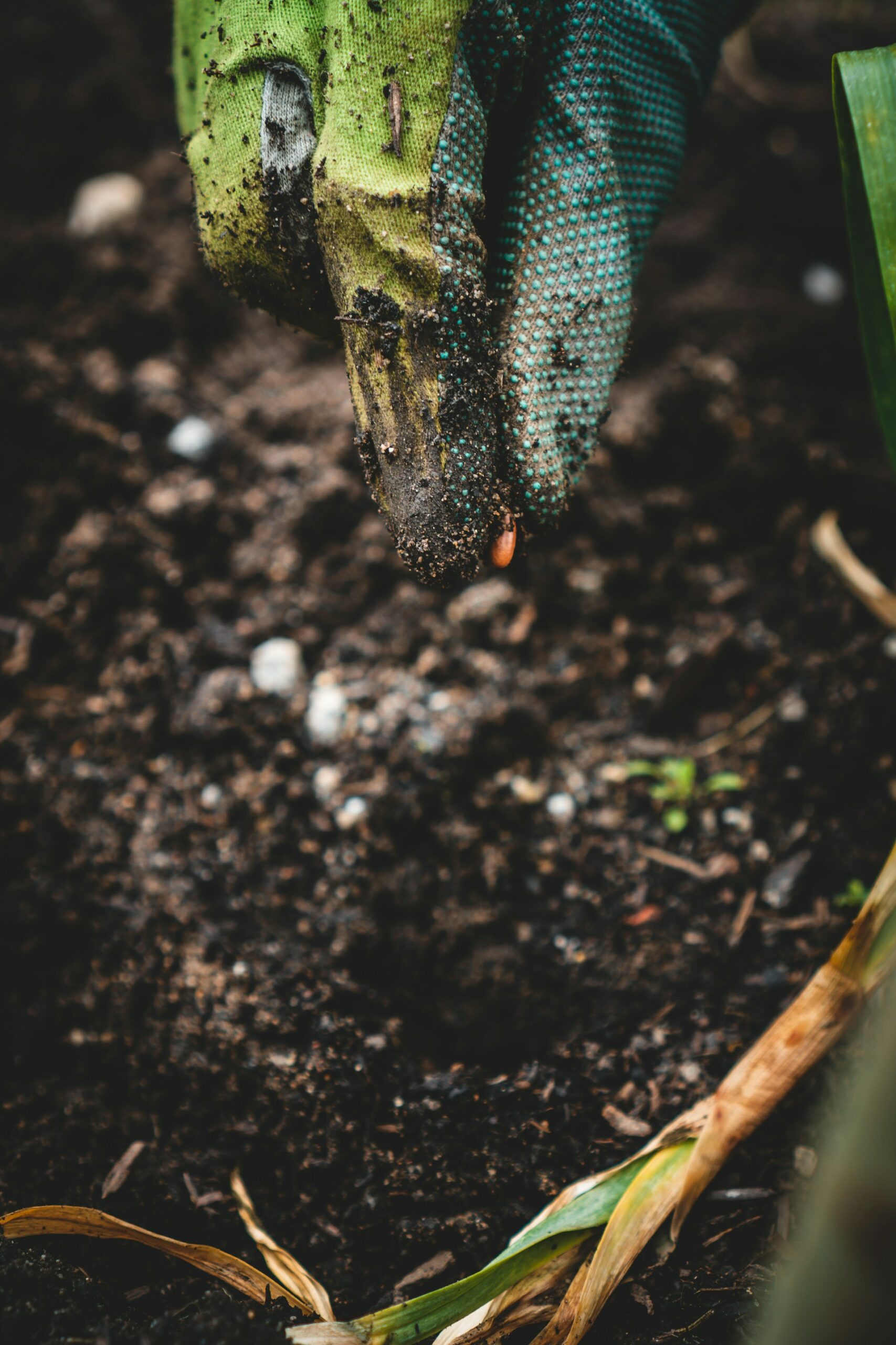 jonathan-kemper-jbwSHC1ITUA-unsplash divi-cart-pro-about-1